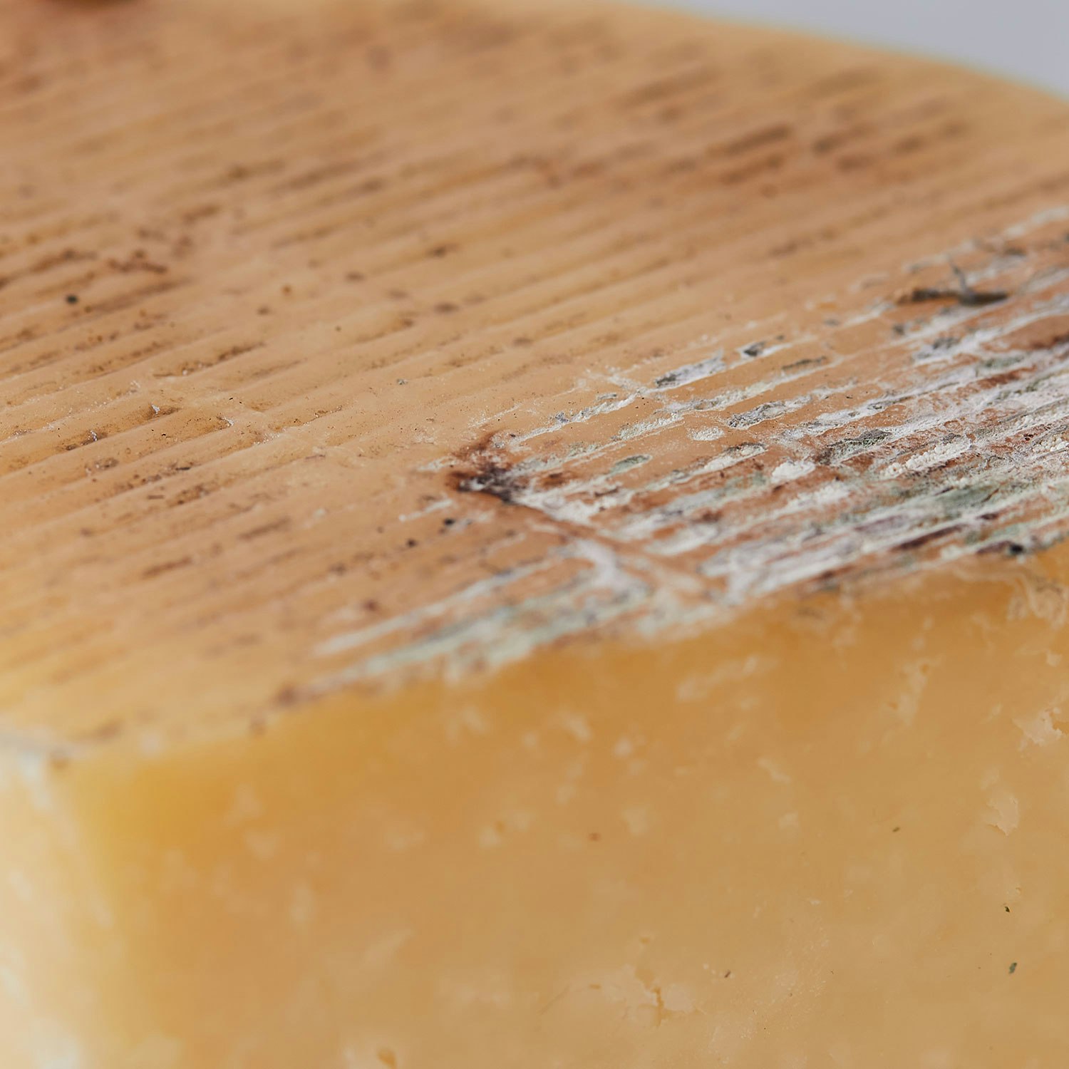 pecorino oro antico cheese