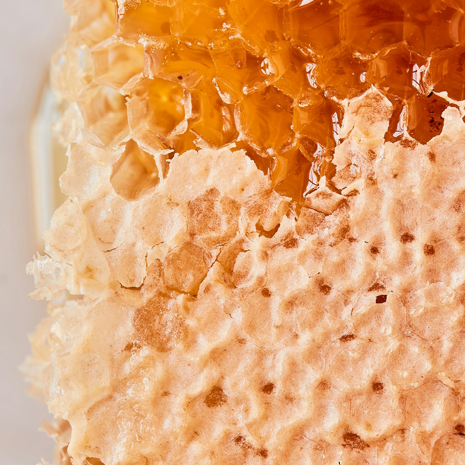 Red-Bee-Honey-Comb-Box-specialty-foods-1500-02